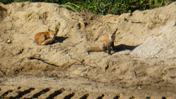 Consumers Energy is committed to protecting the planet.